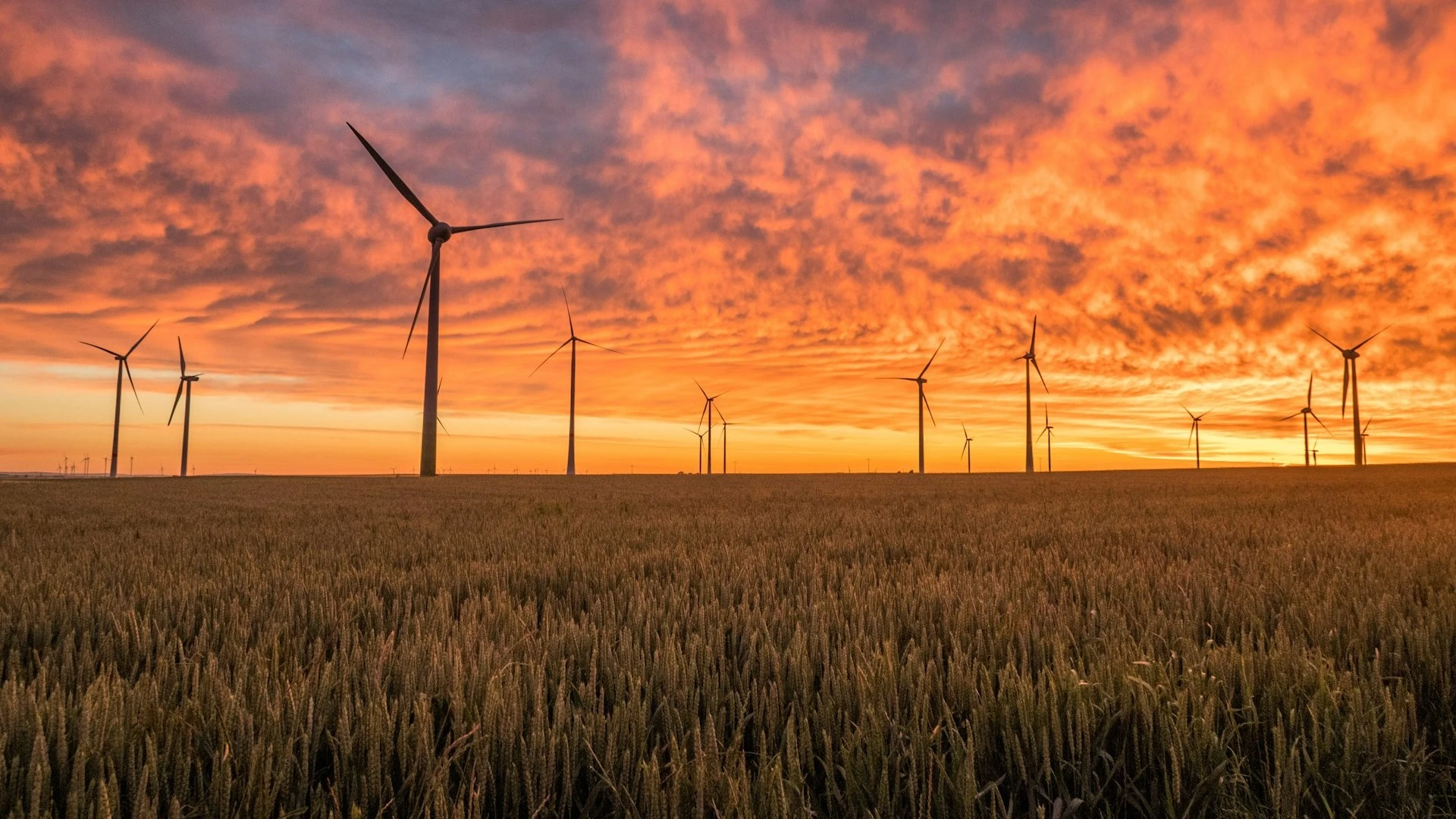 Zdjęcie paneli słonecznych